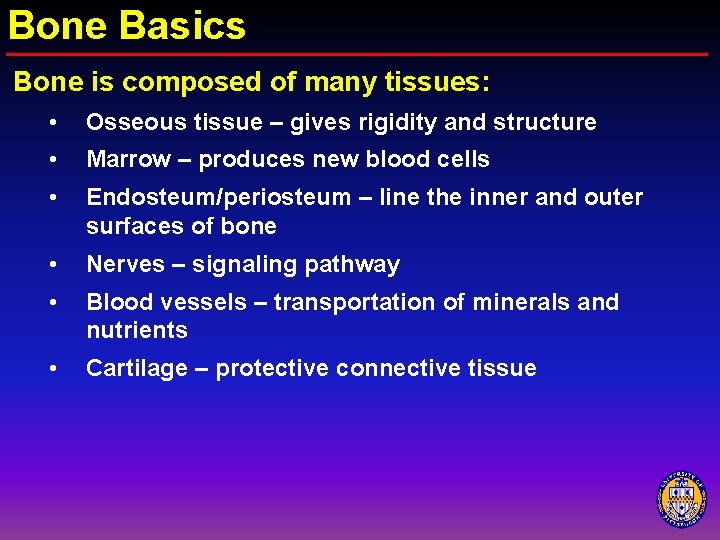 Bone Basics Bone is composed of many tissues: • Osseous tissue – gives rigidity