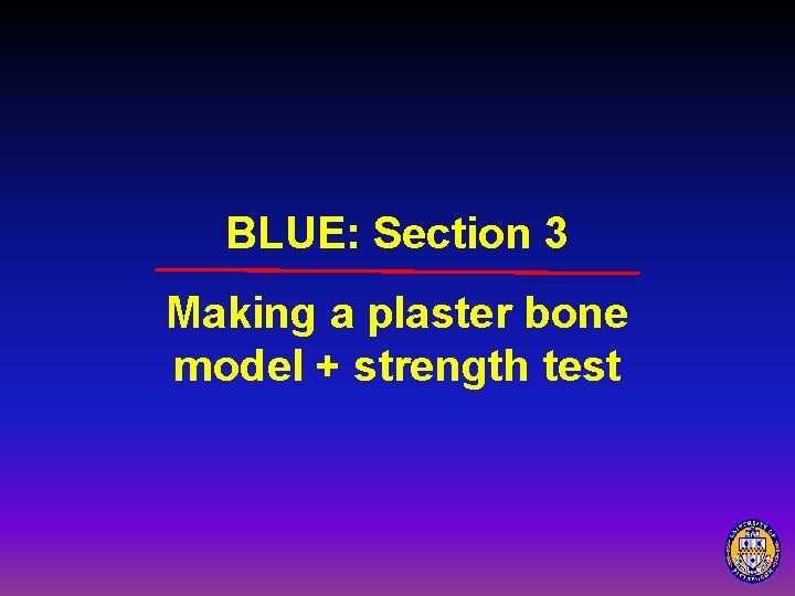 BLUE: Section 3 Making a plaster bone model + strength test 