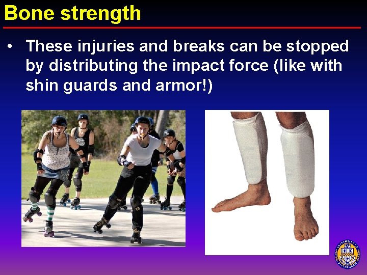 Bone strength • These injuries and breaks can be stopped by distributing the impact