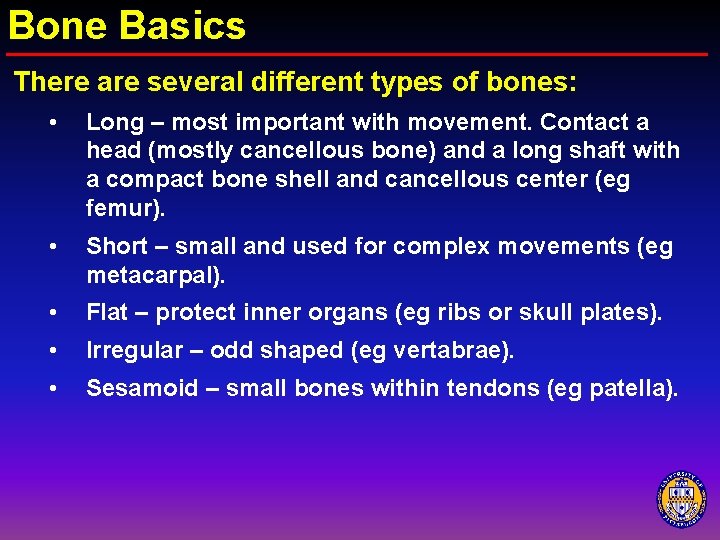 Bone Basics There are several different types of bones: • Long – most important