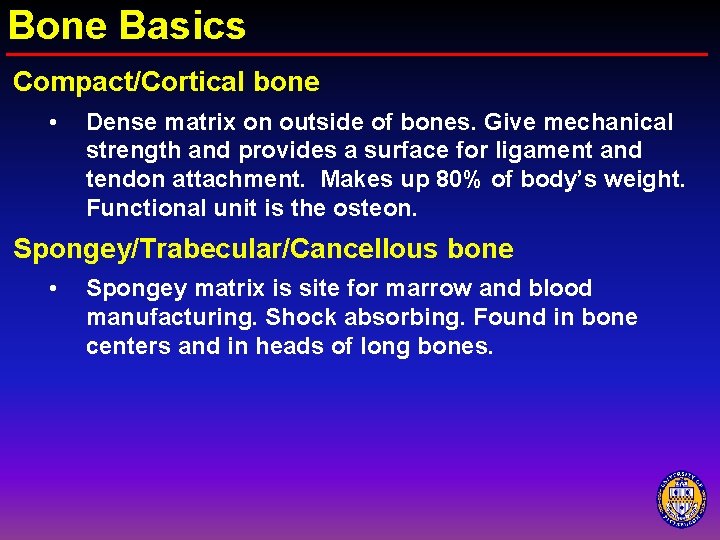 Bone Basics Compact/Cortical bone • Dense matrix on outside of bones. Give mechanical strength