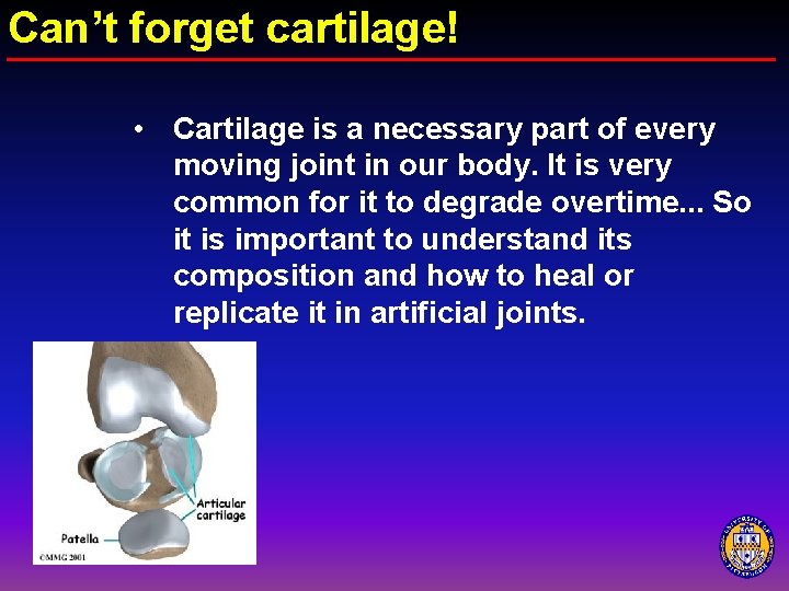 Can’t forget cartilage! • Cartilage is a necessary part of every moving joint in