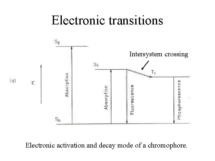 Electronic transitions Intersystem crossing Electronic activation and decay mode of a chromophore. 