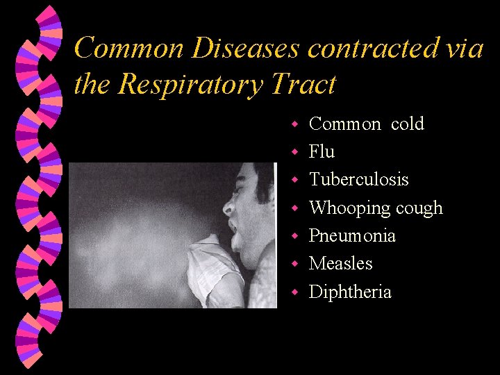 Common Diseases contracted via the Respiratory Tract w w w w Common cold Flu