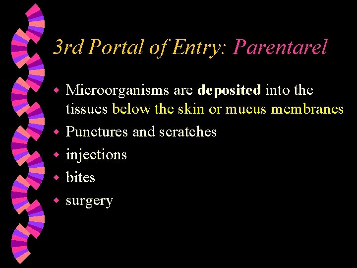 3 rd Portal of Entry: Parentarel w w w Microorganisms are deposited into the