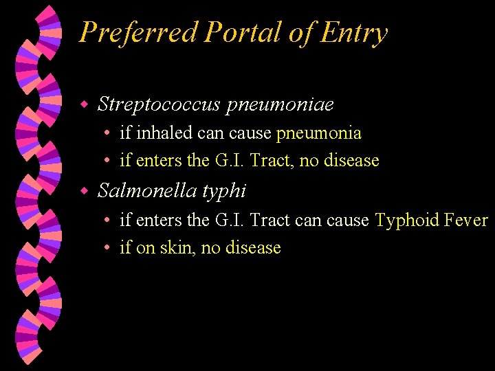 Preferred Portal of Entry w Streptococcus pneumoniae • if inhaled can cause pneumonia •