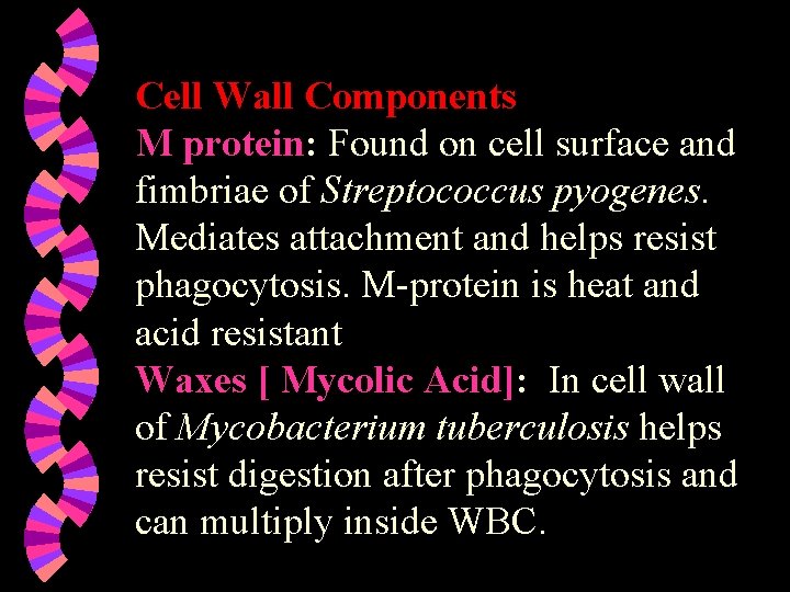 Cell Wall Components M protein: Found on cell surface and fimbriae of Streptococcus pyogenes.