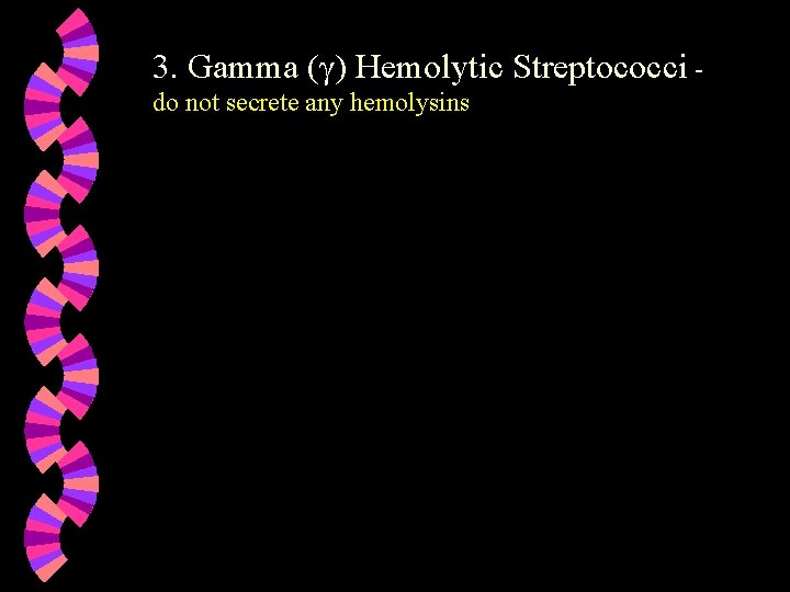 3. Gamma (γ) Hemolytic Streptococci do not secrete any hemolysins 