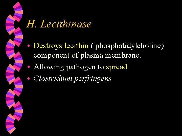 H. Lecithinase Destroys lecithin ( phosphatidylcholine) component of plasma membrane. w Allowing pathogen to