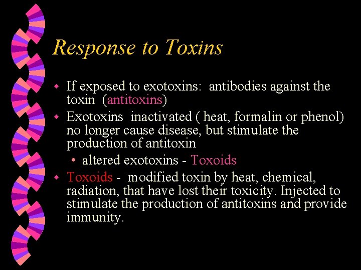 Response to Toxins If exposed to exotoxins: antibodies against the toxin (antitoxins) w Exotoxins