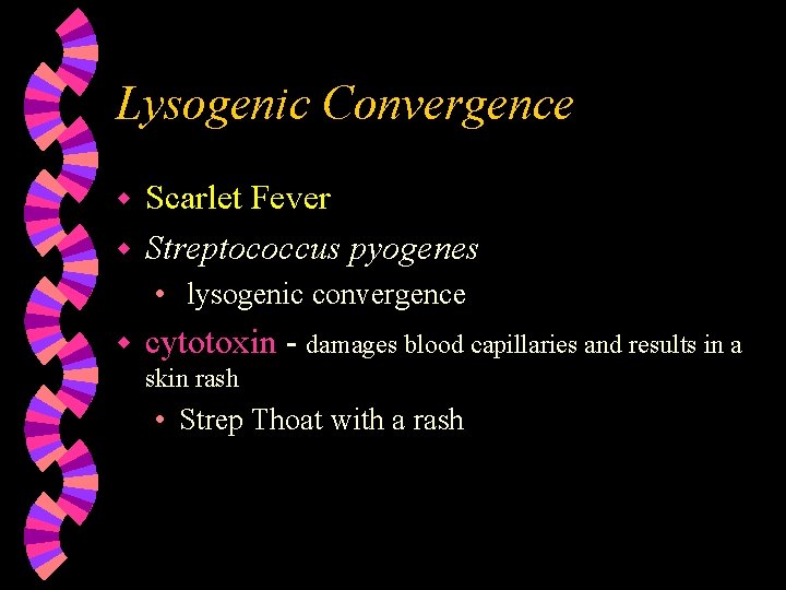 Lysogenic Convergence Scarlet Fever w Streptococcus pyogenes w • lysogenic convergence w cytotoxin -