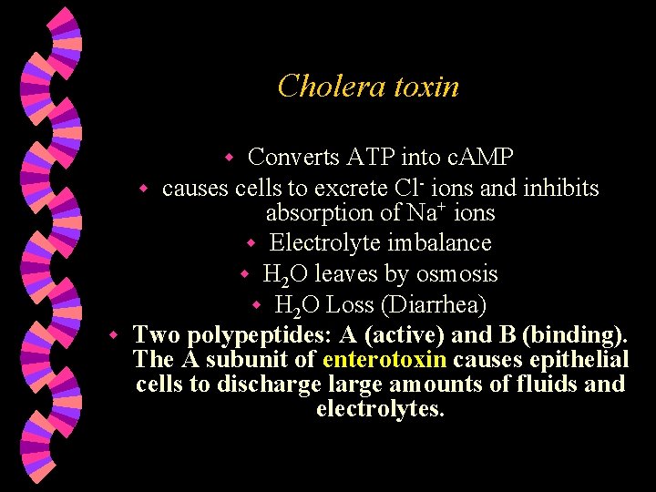 Cholera toxin Converts ATP into c. AMP w causes cells to excrete Cl- ions