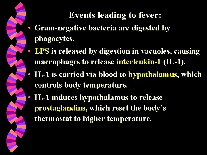 Events leading to fever: • Gram-negative bacteria are digested by phagocytes. • LPS is