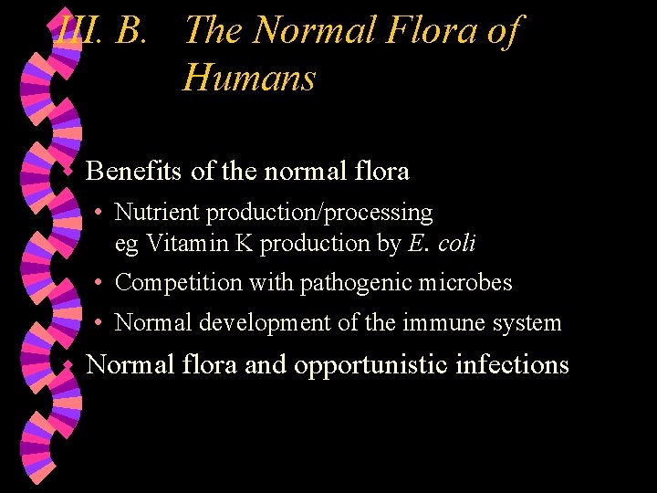 III. B. The Normal Flora of Humans w Benefits of the normal flora •