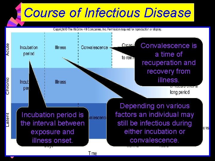 Course of Infectious Disease Convalescence is a time of recuperation and recovery from illness.