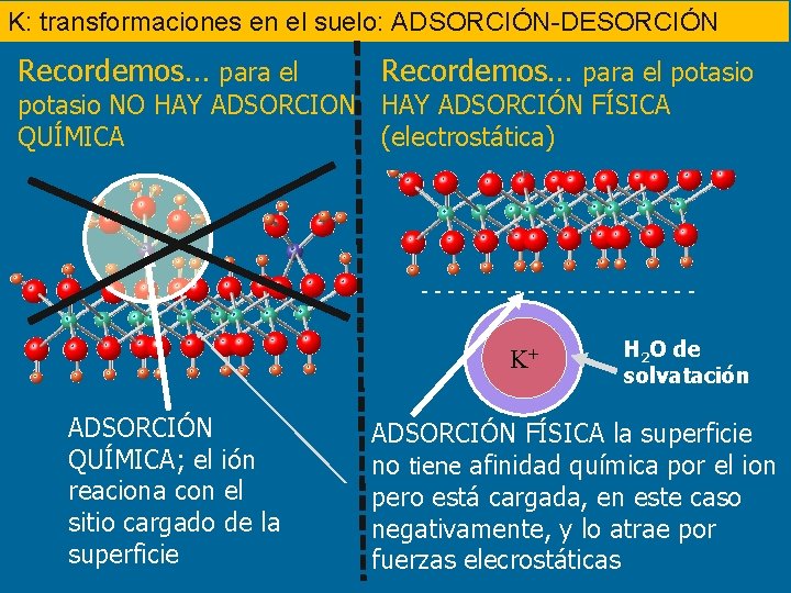 K: transformaciones en el suelo: ADSORCIÓN-DESORCIÓN Recordemos… para el potasio NO HAY ADSORCION HAY