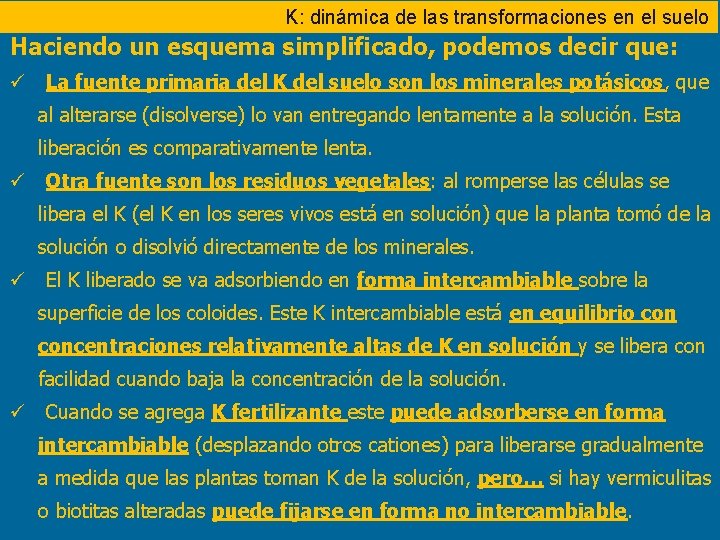 K: dinámica de las transformaciones en el suelo Haciendo un esquema simplificado, podemos decir