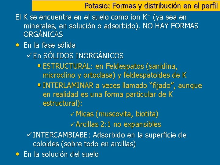 Potasio: Formas y distribución en el perfil El K se encuentra en el suelo