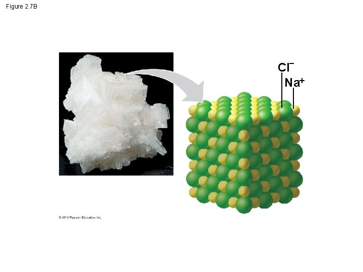 Figure 2. 7 B Cl Na 