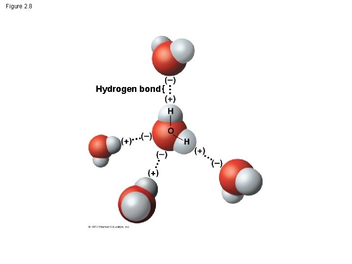Figure 2. 8 Hydrogen bond 