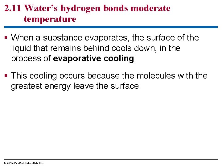 2. 11 Water’s hydrogen bonds moderate temperature § When a substance evaporates, the surface