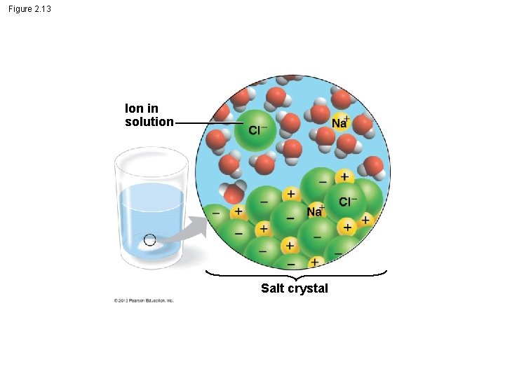 Figure 2. 13 Ion in solution Salt crystal 
