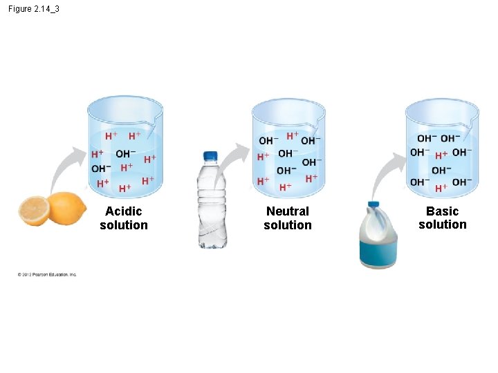 Figure 2. 14_3 Acidic solution Neutral solution Basic solution 