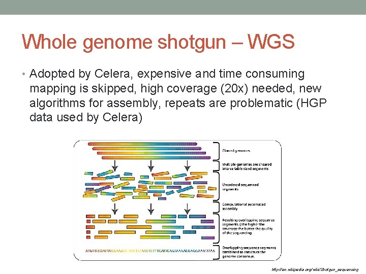 Whole genome shotgun – WGS • Adopted by Celera, expensive and time consuming mapping