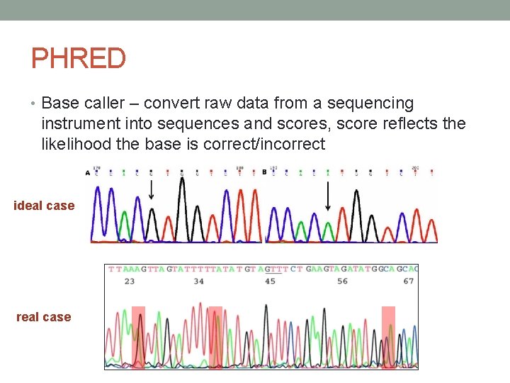 PHRED • Base caller – convert raw data from a sequencing instrument into sequences