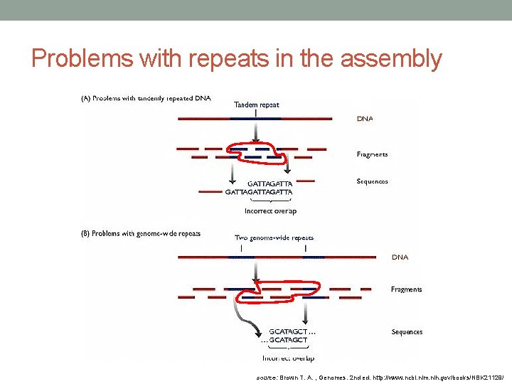 Problems with repeats in the assembly source: Brown T. A. , Genomes. 2 nd