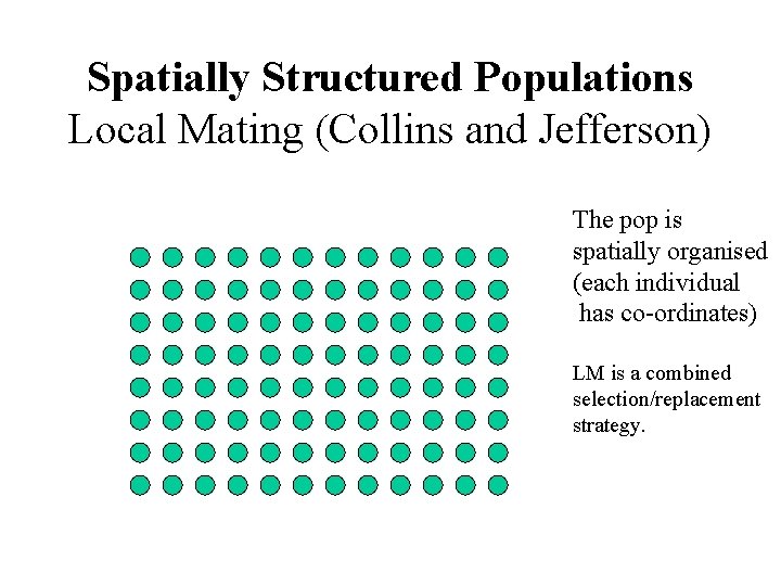 Spatially Structured Populations Local Mating (Collins and Jefferson) The pop is spatially organised (each