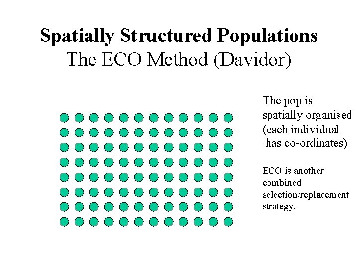 Spatially Structured Populations The ECO Method (Davidor) The pop is spatially organised (each individual
