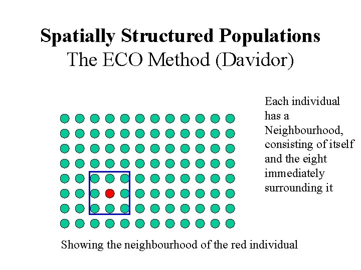 Spatially Structured Populations The ECO Method (Davidor) Each individual has a Neighbourhood, consisting of