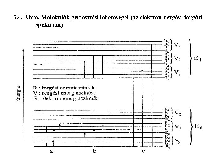 3. 4. Ábra. Molekulák gerjesztési lehetőségei (az elektron-rezgési-forgási spektrum) 