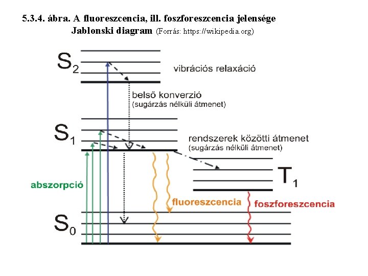 5. 3. 4. ábra. A fluoreszcencia, ill. foszforeszcencia jelensége Jablonski diagram (Forrás: https: //wikipedia.