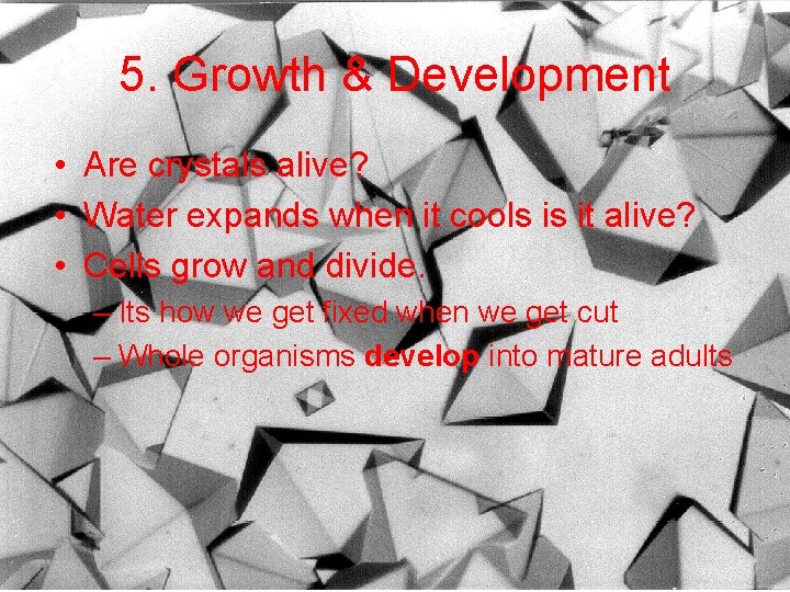 5. Growth & Development • Are crystals alive? • Water expands when it cools