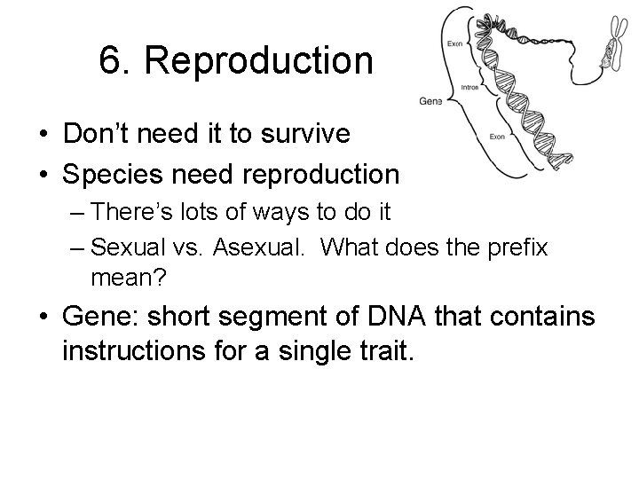 6. Reproduction • Don’t need it to survive • Species need reproduction – There’s