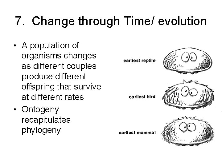 7. Change through Time/ evolution • A population of organisms changes as different couples