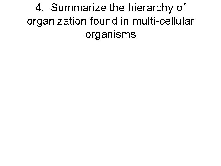 4. Summarize the hierarchy of organization found in multi-cellular organisms 