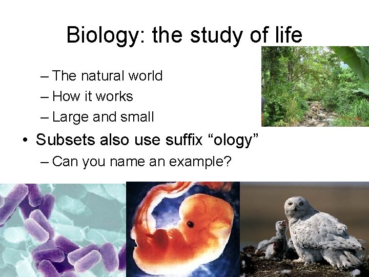 Biology: the study of life – The natural world – How it works –