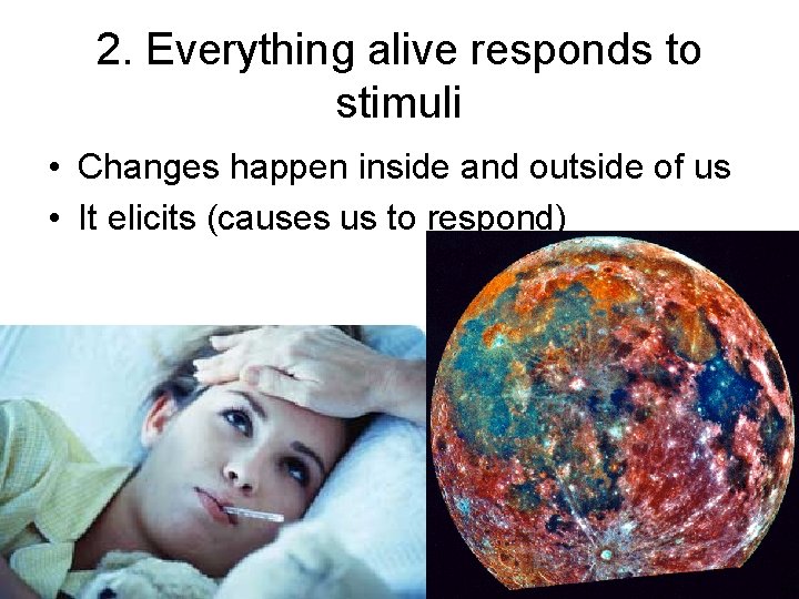 2. Everything alive responds to stimuli • Changes happen inside and outside of us