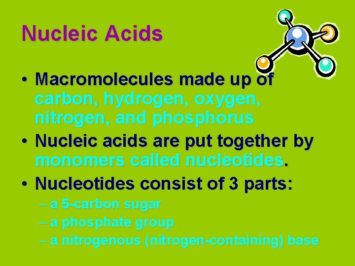 Nucleic Acids • Macromolecules made up of carbon, hydrogen, oxygen, nitrogen, and phosphorus •