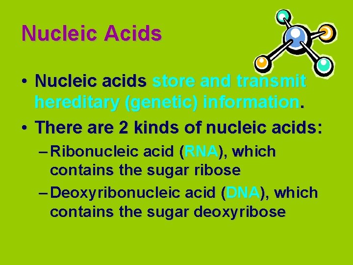 Nucleic Acids • Nucleic acids store and transmit hereditary (genetic) information. • There are
