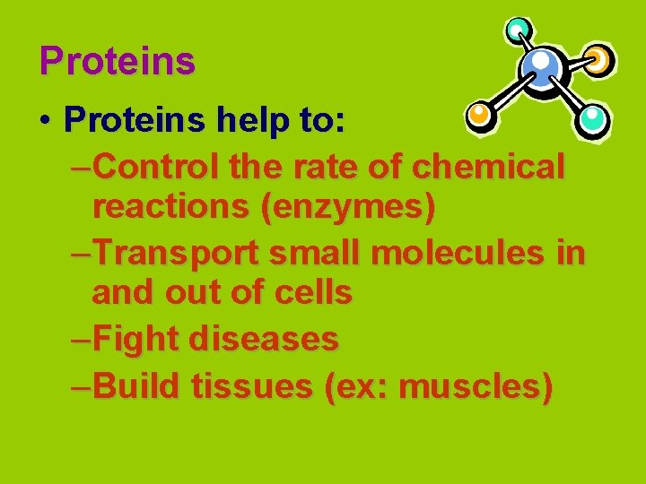 Proteins • Proteins help to: –Control the rate of chemical reactions (enzymes) –Transport small