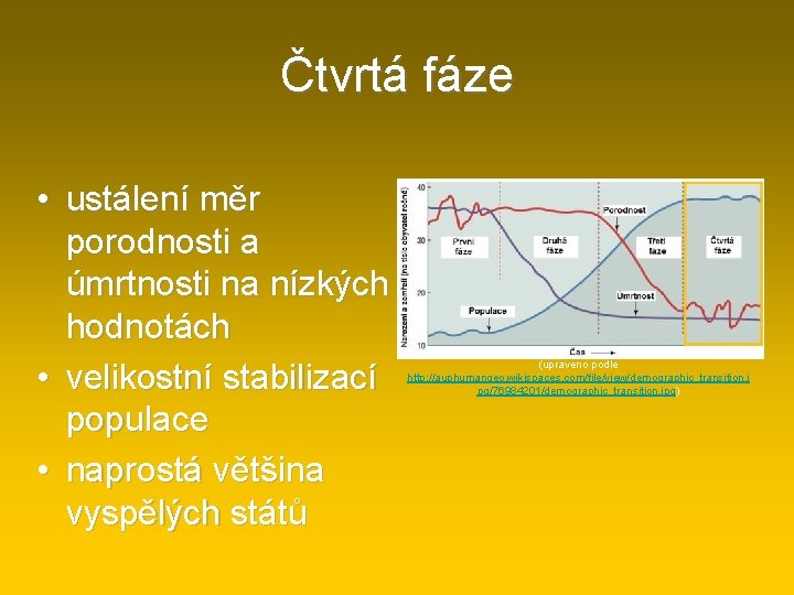 Čtvrtá fáze • ustálení měr porodnosti a úmrtnosti na nízkých hodnotách • velikostní stabilizací