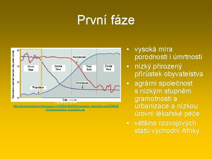 První fáze (upraveno podle http: //auphumangeo. wikispaces. com/file/view/demographic_transition. jpg/769842 01/demographic_transition. jpg) • vysoká míra