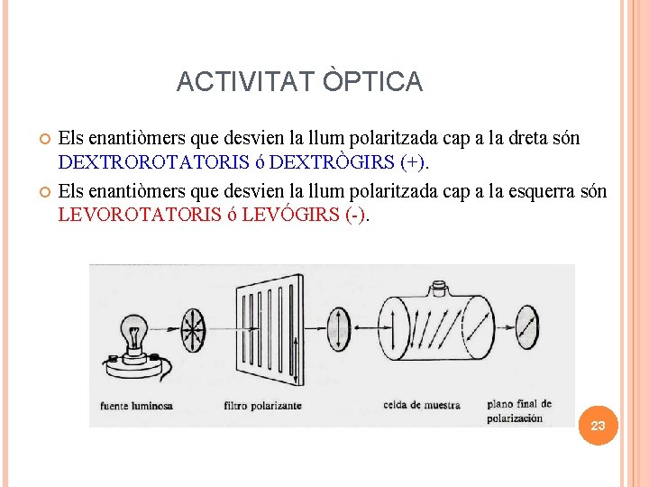 ACTIVITAT ÒPTICA Els enantiòmers que desvien la llum polaritzada cap a la dreta són