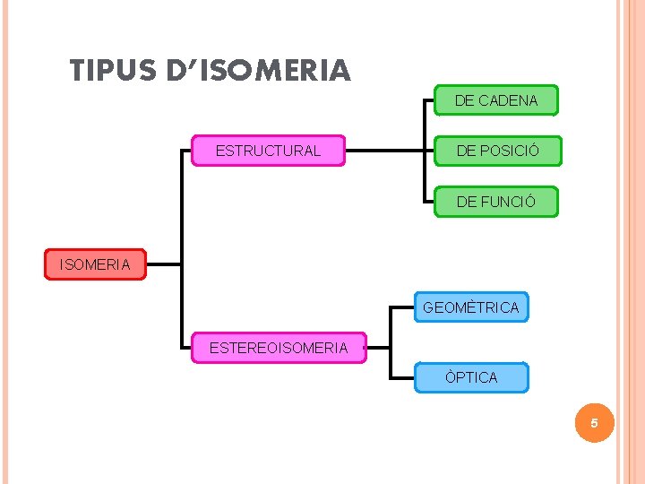 TIPUS D’ISOMERIA DE CADENA ESTRUCTURAL DE POSICIÓ DE FUNCIÓ ISOMERIA GEOMÈTRICA ESTEREOISOMERIA ÒPTICA 5