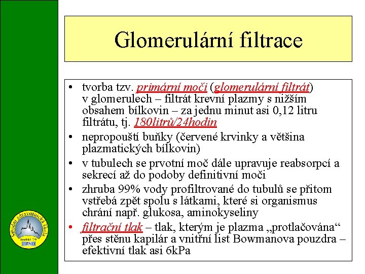 Glomerulární filtrace • tvorba tzv. primární moči (glomerulární filtrát) v glomerulech – filtrát krevní