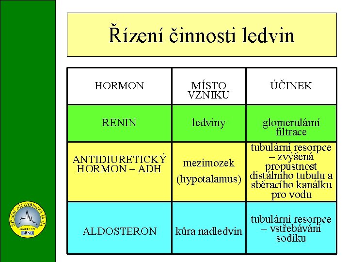 Řízení činnosti ledvin HORMON MÍSTO VZNIKU RENIN ledviny ÚČINEK glomerulární filtrace tubulární resorpce –